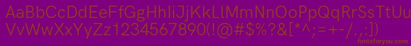 HkgroteskRegularlegacy Font – Brown Fonts on Purple Background