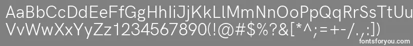 HkgroteskRegularlegacy Font – White Fonts on Gray Background