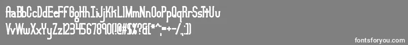 LucidTypeBBrk Font – White Fonts on Gray Background