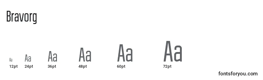Bravorg Font Sizes