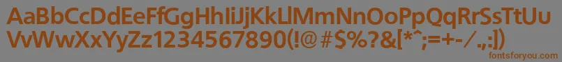 QuebecserialXboldRegular Font – Brown Fonts on Gray Background