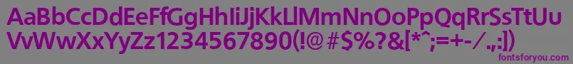 QuebecserialXboldRegular Font – Purple Fonts on Gray Background