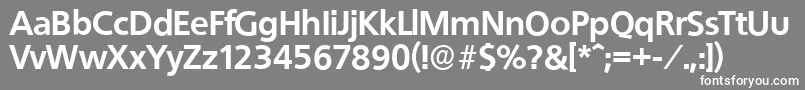 QuebecserialXboldRegular Font – White Fonts on Gray Background