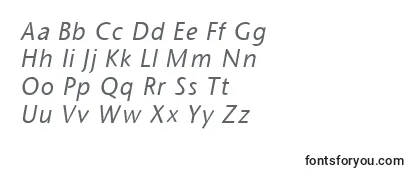 SapirItalic-fontti