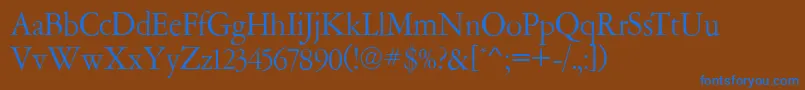 AmsterdamerGaramontRegular Font – Blue Fonts on Brown Background