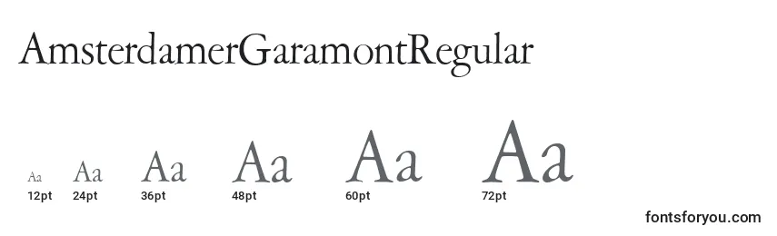Размеры шрифта AmsterdamerGaramontRegular