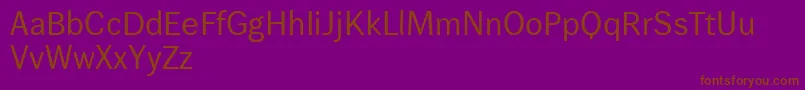 Wendelinreduced55normal Font – Brown Fonts on Purple Background