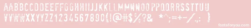 Socialanimal Font – White Fonts on Pink Background