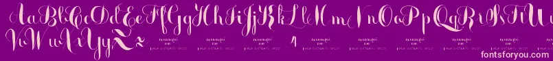 MonmicaDemo Font – Pink Fonts on Purple Background