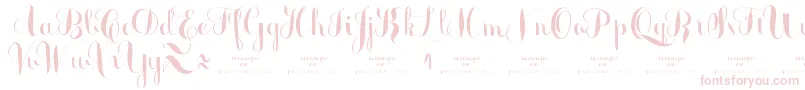 MonmicaDemo Font – Pink Fonts on White Background