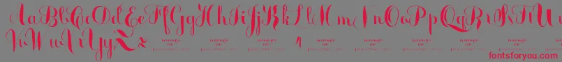 MonmicaDemo Font – Red Fonts on Gray Background