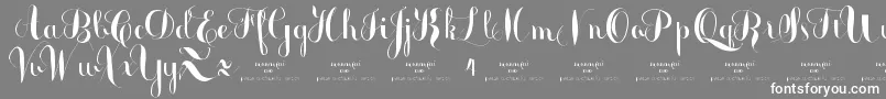 MonmicaDemo Font – White Fonts on Gray Background