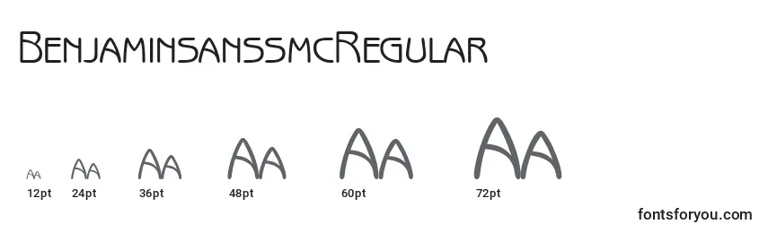 BenjaminsanssmcRegular Font Sizes