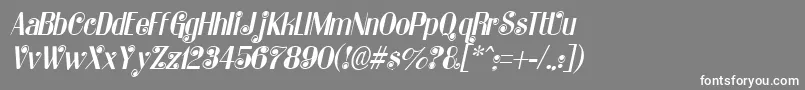 フォントKatarinaItalic – 灰色の背景に白い文字