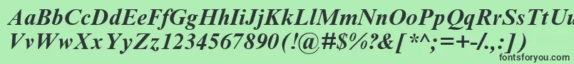 フォントTimesbi2 – 緑の背景に黒い文字