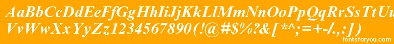 Timesbi2 Font – White Fonts on Orange Background