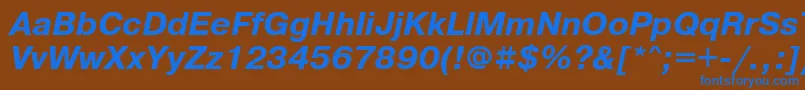 PragmaticacttBolditalic Font – Blue Fonts on Brown Background