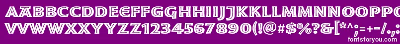 フォントMoonglowBoldext – 紫の背景に白い文字