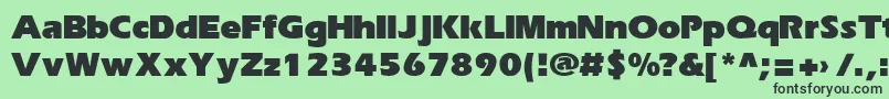 More about ErikaRusBold Font ErikaRusBold Font – Black Fonts on Green Background