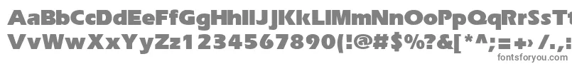 ErikaRusBold Font – Gray Fonts on White Background