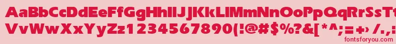 ErikaRusBold Font – Red Fonts on Pink Background
