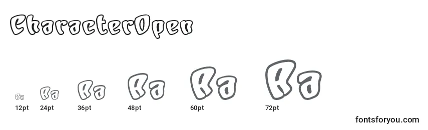 Размеры шрифта CharacterOpen