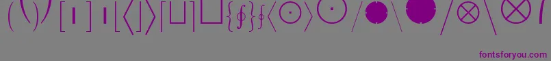 LucidaBrightMathExtension Font – Purple Fonts on Gray Background