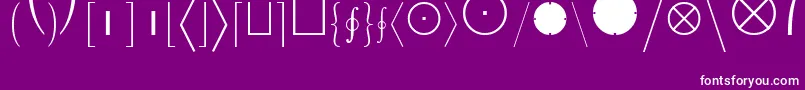 LucidaBrightMathExtension Font – White Fonts on Purple Background