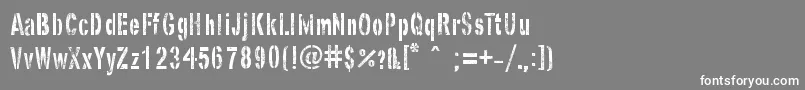 GhostArmyStencil Font – White Fonts on Gray Background