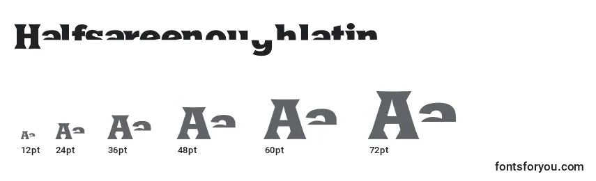Размеры шрифта Halfsareenoughlatin