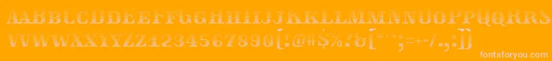Traktoretkagrad Font – Pink Fonts on Orange Background