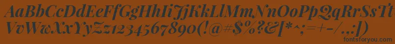 PlayfairdisplayBolditalic Font – Black Fonts on Brown Background