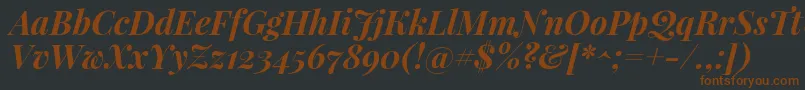 PlayfairdisplayBolditalic Font – Brown Fonts on Black Background