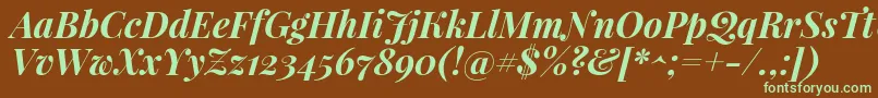 PlayfairdisplayBolditalic Font – Green Fonts on Brown Background