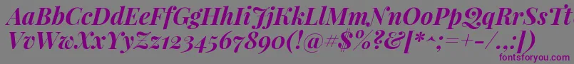 PlayfairdisplayBolditalic-Schriftart – Violette Schriften auf grauem Hintergrund