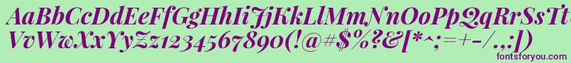 PlayfairdisplayBolditalic Font – Purple Fonts on Green Background