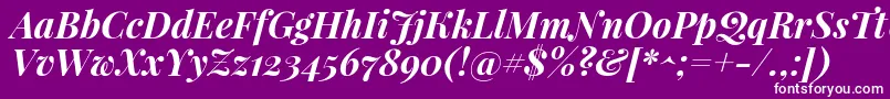 PlayfairdisplayBolditalic Font – White Fonts on Purple Background