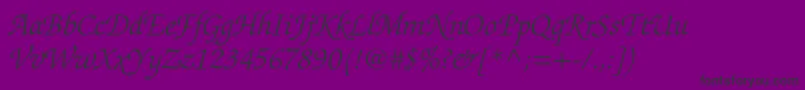 ZapfchancerystdLightitalic Font – Black Fonts on Purple Background