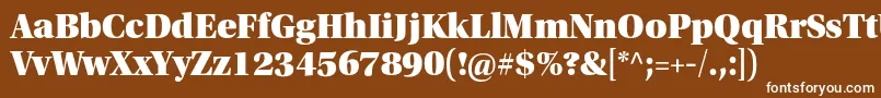 フォントUtopiastdBlackheadline – 茶色の背景に白い文字