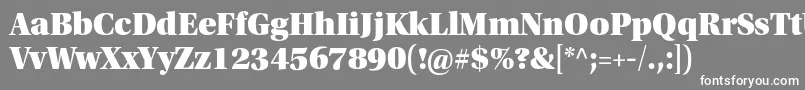 フォントUtopiastdBlackheadline – 灰色の背景に白い文字