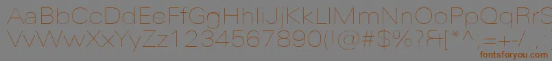 UniversNextProUltralightExtended Font – Brown Fonts on Gray Background