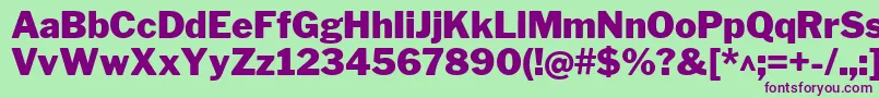 LibrefranklinBlack Font – Purple Fonts on Green Background