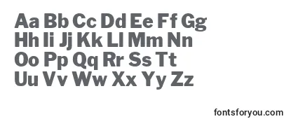 Обзор шрифта LibrefranklinBlack