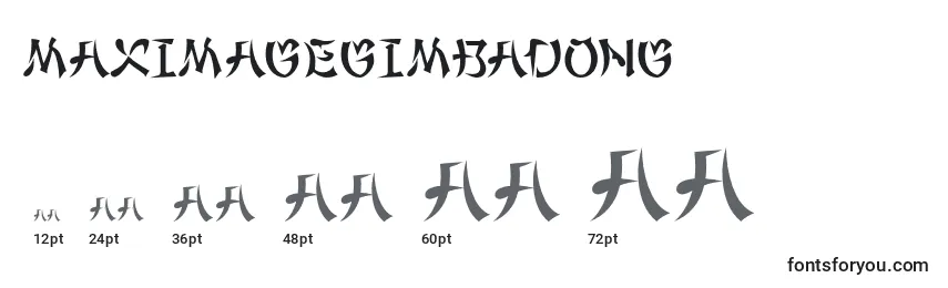 Размеры шрифта MaximageGimbadong