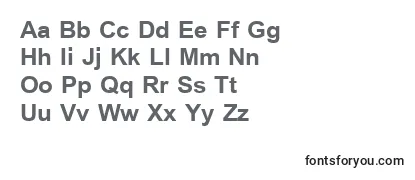 SimplifiedArabicBold Font