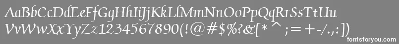 ZapfChanceryMediumBt Font – White Fonts on Gray Background