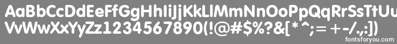 AFuturaroundBold Font – White Fonts on Gray Background