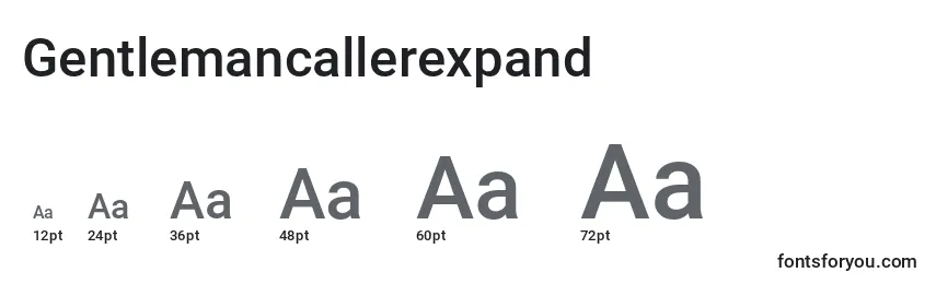 Размеры шрифта Gentlemancallerexpand