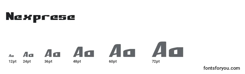 Nexprese Font Sizes