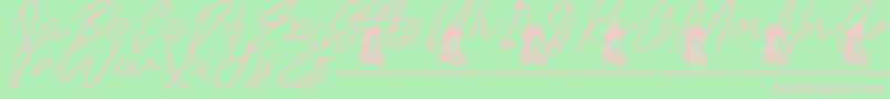 EternalFascination Font – Pink Fonts on Green Background